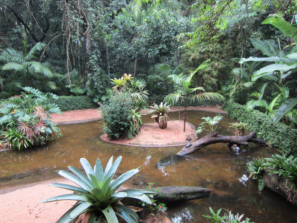 Visita al Parque Das Aves, Foz de Iguazú - Brasil
